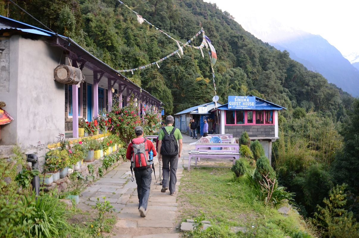 06 Walking Through Sinuwa On The Trek To Annapurna Sanctuary 